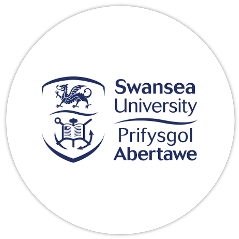 Swansea University