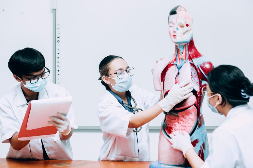 3 Medical Students Learning Human Body Part Model
