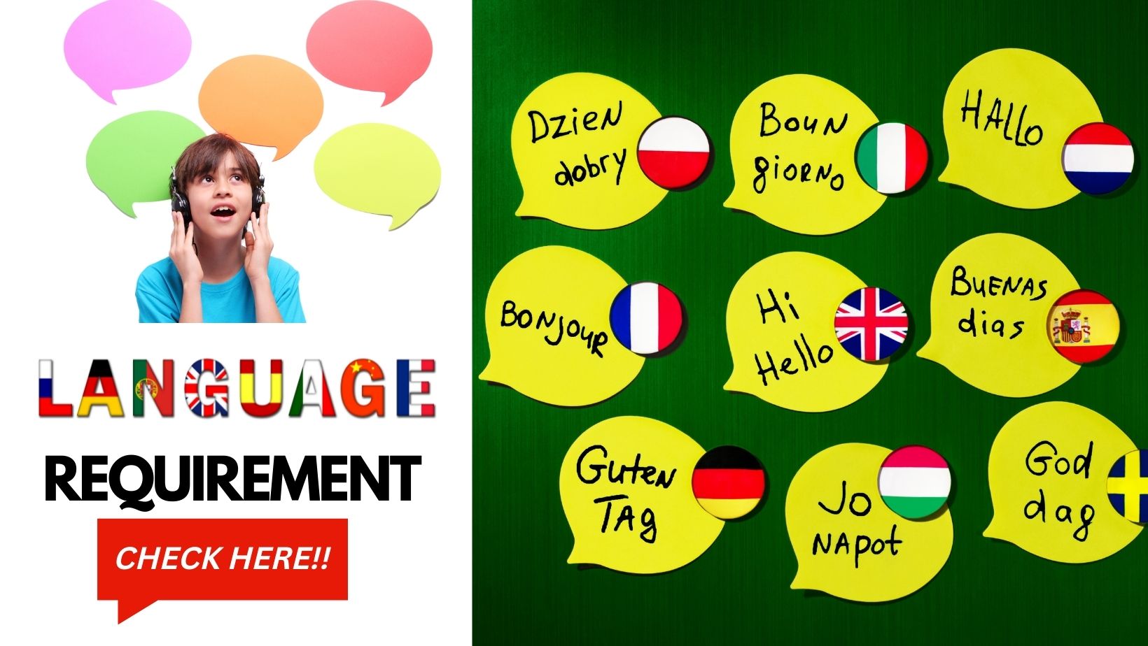 language requirement-KCR