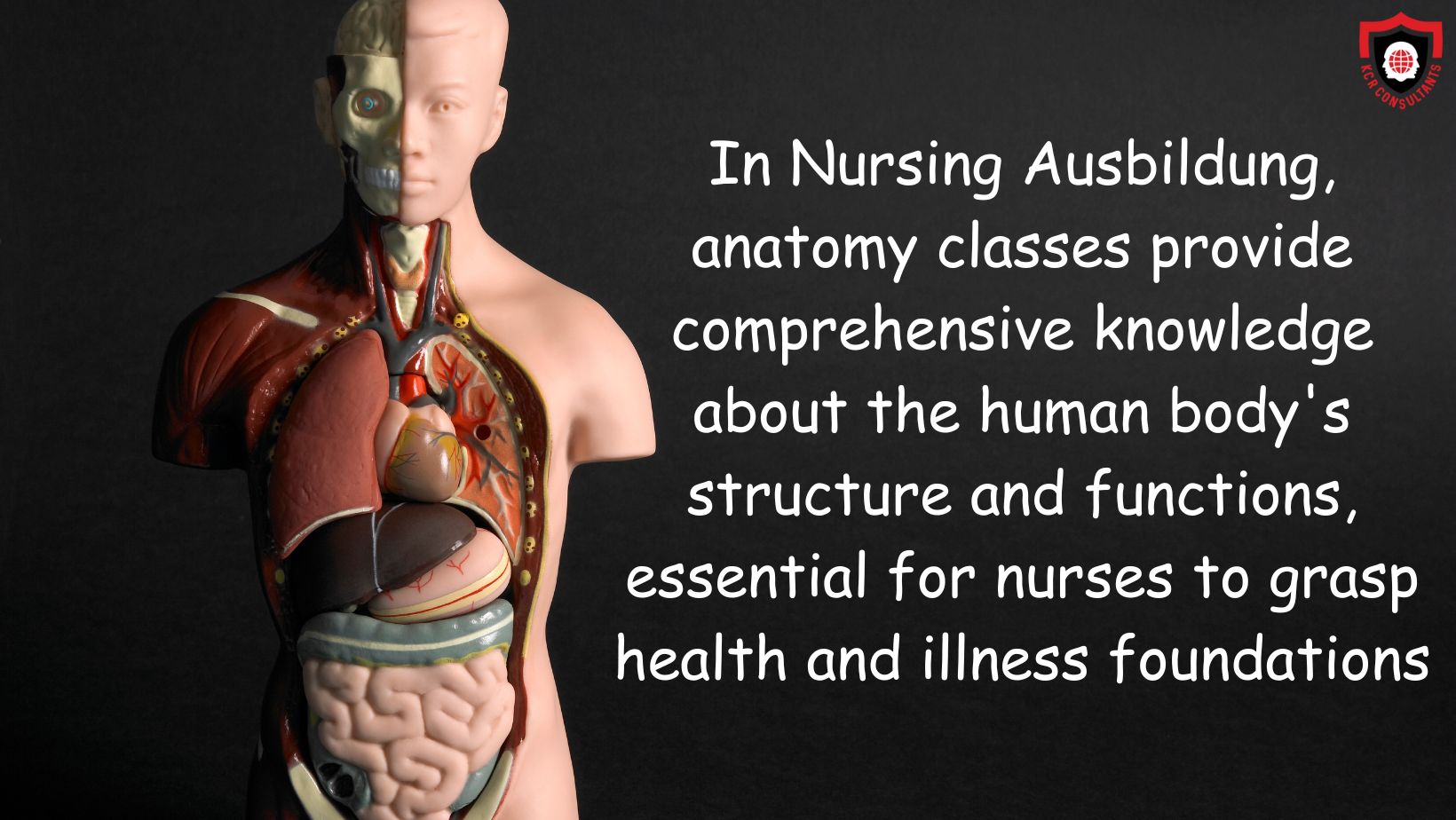 Nursing Ausbildung in Germany - KCR CONSULTANTS - Anatomy classes