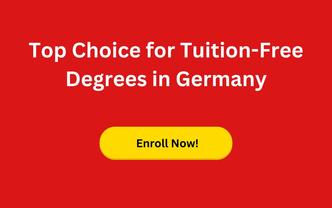 german education banner1